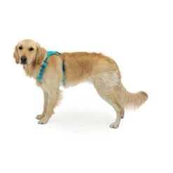 Ruffwear Hi & Light Harness Bleu 14 Ruffwear Hi & Light Harness Bleu -Sportswear Magasin main 311196 198860 5 233d