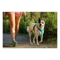 Ruffwear Hi & Light Harness Bleu 16 Ruffwear Hi & Light Harness Bleu -Sportswear Magasin main 311196 198862 7 74e1