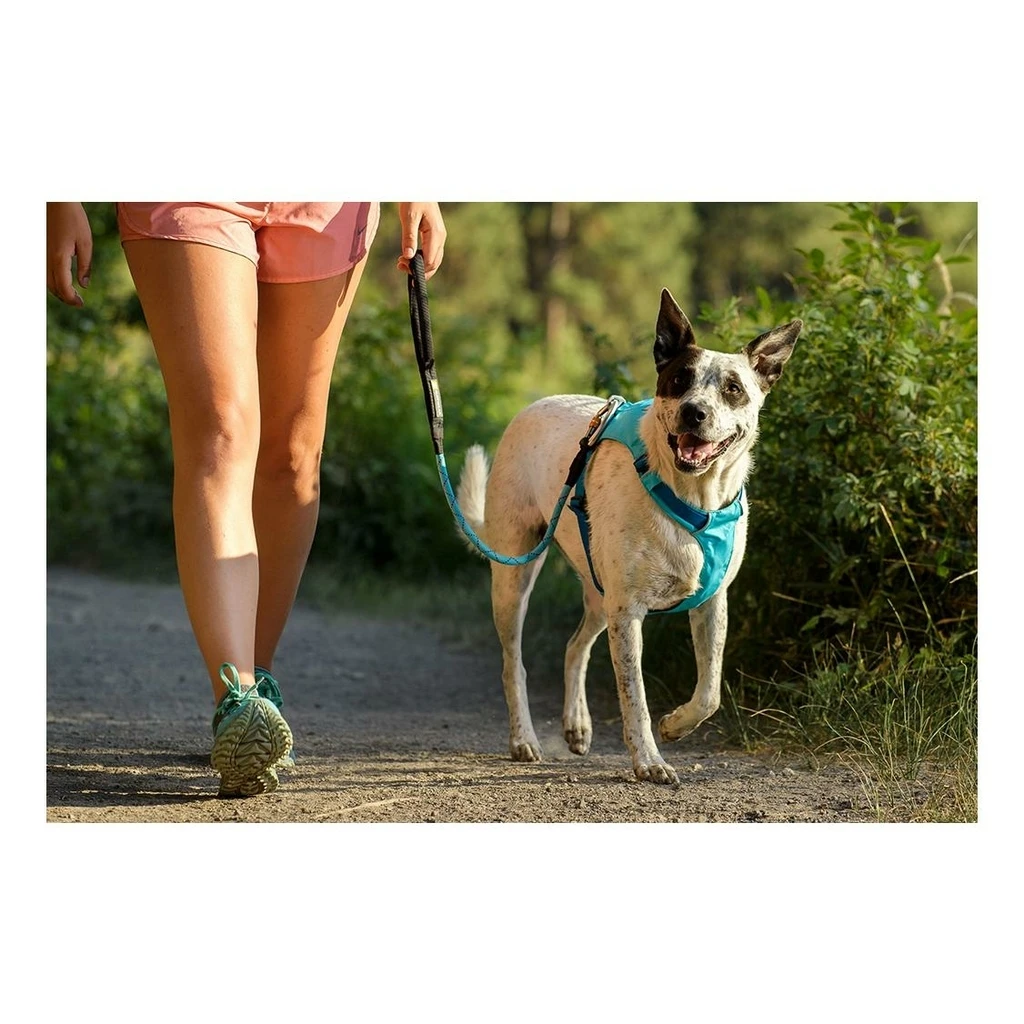 Ruffwear Hi & Light Harness Bleu 9 Ruffwear Hi & Light Harness Bleu – Image 7