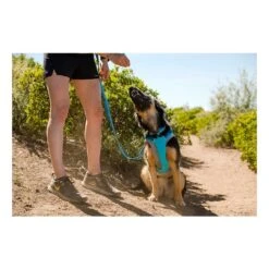 Ruffwear Hi & Light Harness Bleu 17 Ruffwear Hi & Light Harness Bleu -Sportswear Magasin main 311196 198863 8 c40b