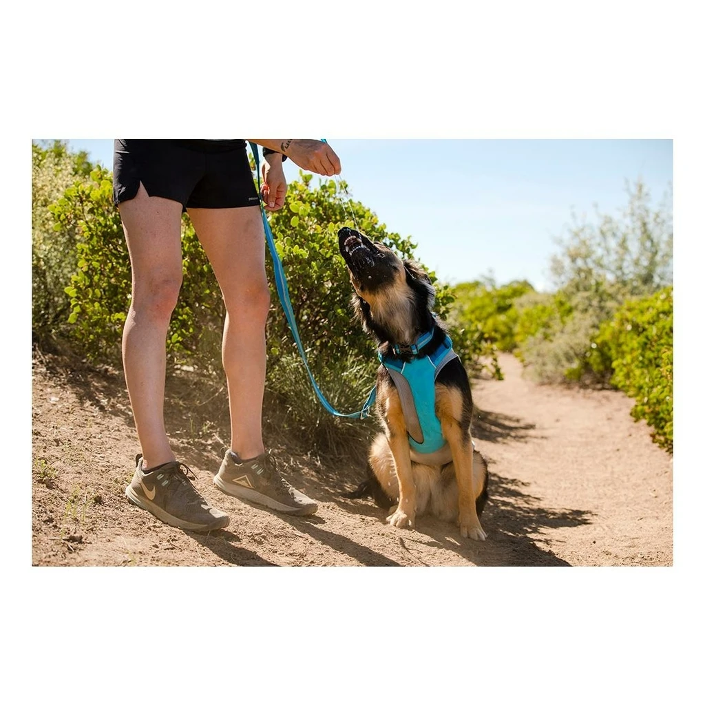 Ruffwear Hi & Light Harness Bleu 10 Ruffwear Hi & Light Harness Bleu – Image 8