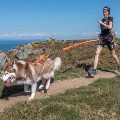 I-Dog Harnais Canicross Sport X-Back One -Sportswear Magasin main GRLMI05 2 8049