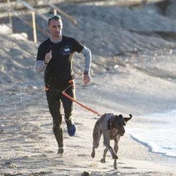 I-Dog Harnais Canicross Sport X-Back One -Sportswear Magasin main GRLMI05 3 43c2