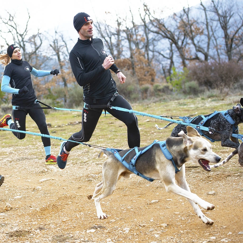 I-Dog Baudrier Canyon Gamme ALM 6 I-Dog Baudrier Canyon Gamme ALM – Image 4