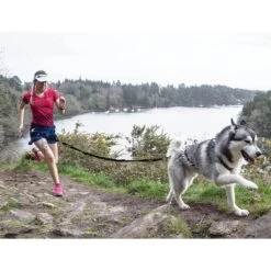 I-Dog Longe Traction Noir -Sportswear Magasin main photo pres longe I DOG 02 1 1 fced